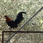 Agriturcostabaira *