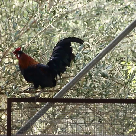Agriturcostabaira *