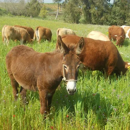 Agriturcostabaira Farm stay