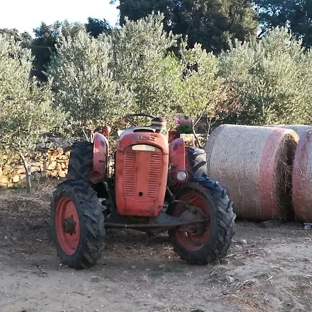 Agriturcostabaira Farm stay Caltagirone